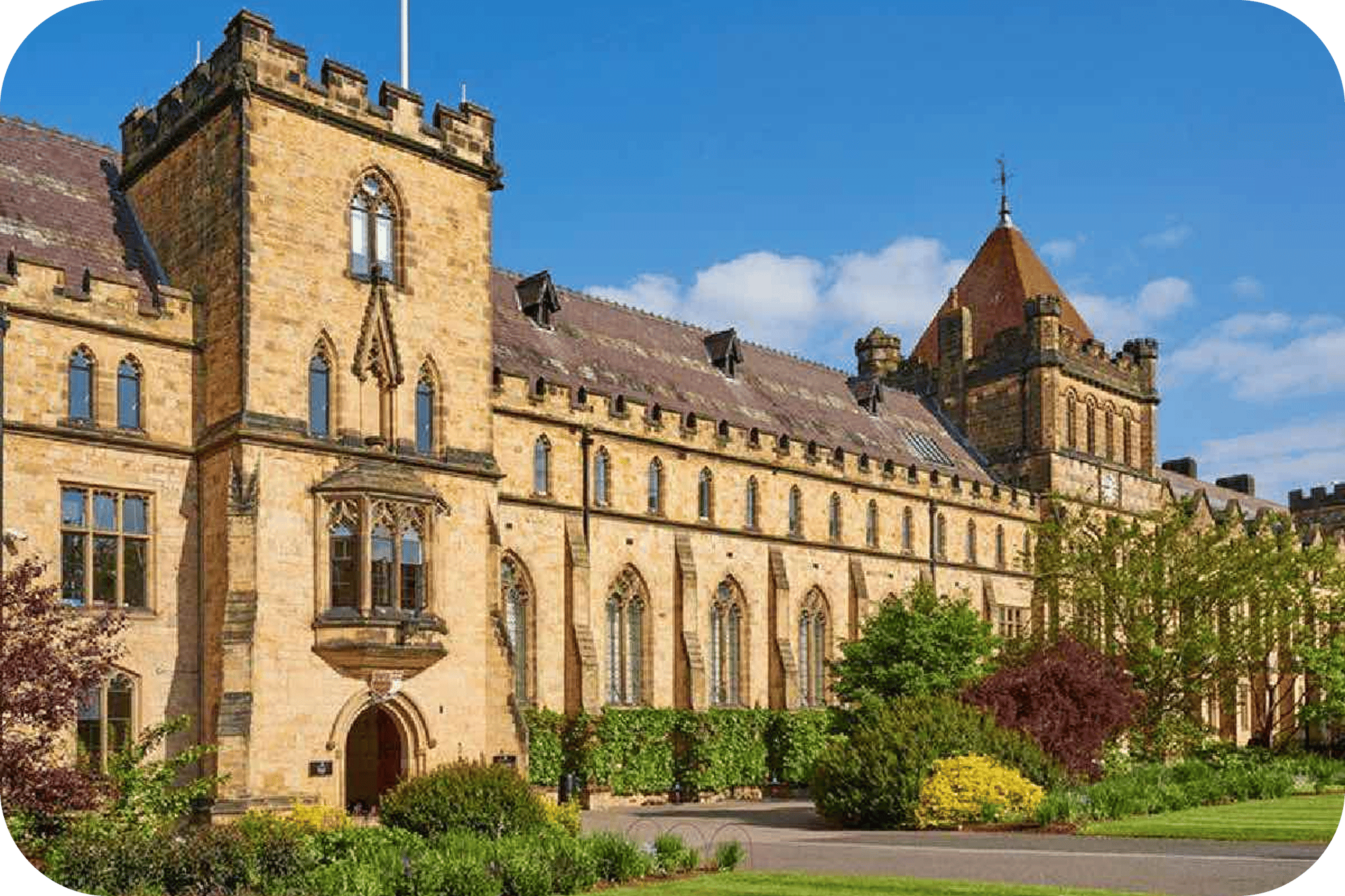 Cheerful Students asdCelebrating (1)